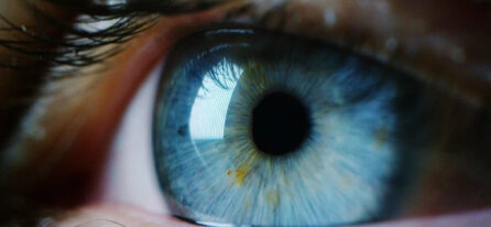 Laserowa korekcja wzroku – czy obawy przed zabiegiem są uzasadnione? Eksperci odpowiadają